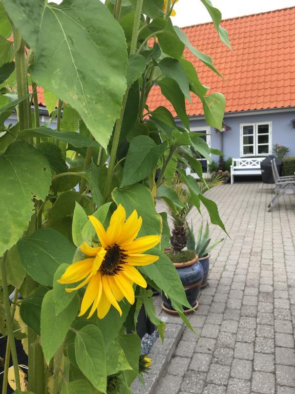 Ebeltoft Centrum Apartment Exterior foto